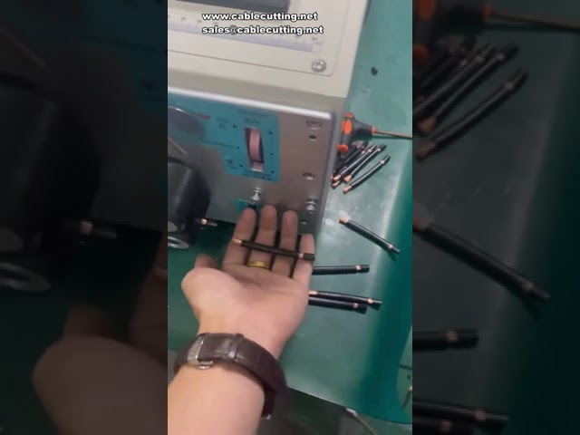 10SQMM Wire Cutting And Stripping Machine