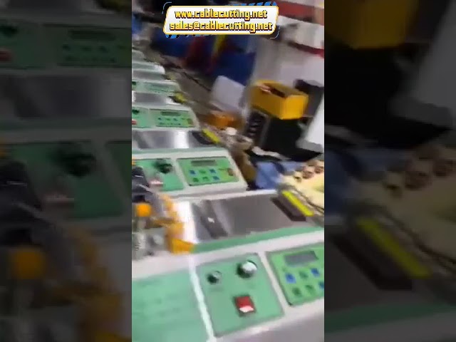 Nauhanleikkauskone Mikrotietokoneohjaus Kuumaveitsi ja Kylmäveitsi 110V/220V 400W