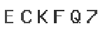 Verification Code Image